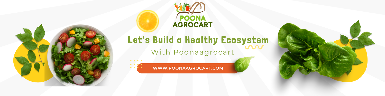 68dc23e8d4884 Bp Cover Image